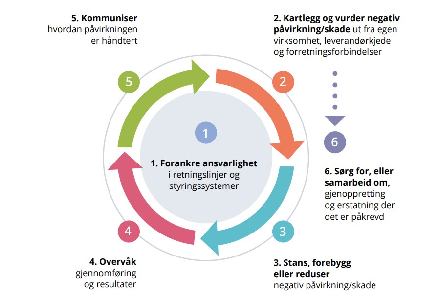 OECD aktsomhetsvurderinger